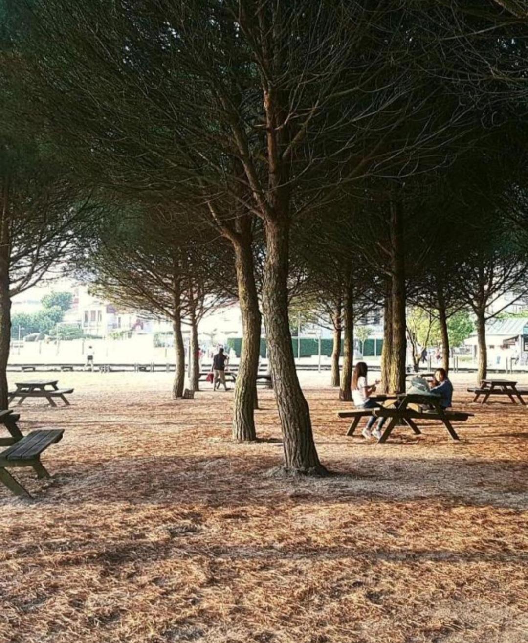 Apto Cortegada Vilagarcia de Arousa Zimmer foto